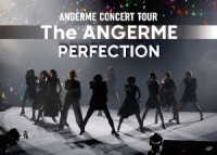アンジュルム／アンジュルム　ＣＯＮＣＥＲＴ　ＴＯＵＲ　－Ｔｈｅ　ＡＮＧＥＲＭＥ－　ＰＥＲＦＥＣＴＩＯＮ