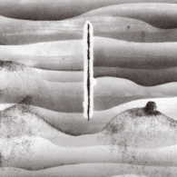 ＣＯＲＮＥＬＩＵＳ／Ｍｅｌｌｏｗ　Ｗａｖｅｓ