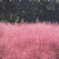 ＴＥＳＴＳＥＴ／ＡＬＬ　ＨＡＺＥ