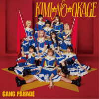 ＧＡＮＧ　ＰＡＲＡＤＥ／ＫＩＭＩ☆ＮＯ☆ＯＫＡＧＥ