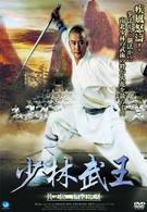 少林武王　其ノ伍　南拳北腿