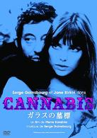 ガラスの墓標