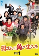 母さんに角が生えた　ＤＶＤ－ＢＯＸ　１
