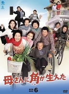 母さんに角が生えた　ＤＶＤ－ＢＯＸ　６