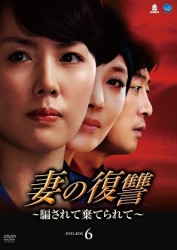 妻の復讐～騙されて棄てられて～　ＤＶＤ－ＢＯＸ　６