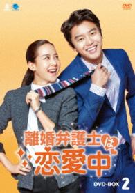 離婚弁護士は恋愛中　ＤＶＤ－ＢＯＸ２