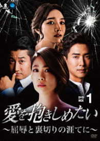 愛を抱きしめたい　～屈辱と裏切りの涯てに～　ＤＶＤ－ＢＯＸ１
