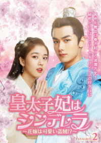 皇太子妃はシンデレラ～花嫁は可愛い盗賊！？～　ＤＶＤ－ＢＯＸ２