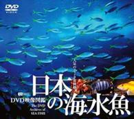 日本の海水魚　ＤＶＤ映像図鑑