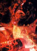 ＣＯＭＰＬＥＴＥ　ＤＶＤ－ＢＯＸ　ＴＨＥ　ＧＲＥＡＴ　ＭＵＴＡ