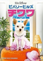 ビバリーヒルズ・チワワ