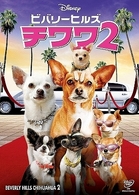 ビバリーヒルズ・チワワ２