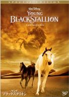ヤング・ブラック・スタリオン