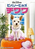 ビバリーヒルズ・チワワ