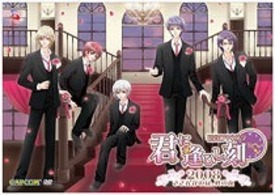 花宵ロマネスク　君に逢ひし刻２００８～さざんかと柊