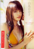 白鳥百合子　ｌｉｋｅ　ａ　ｆｌｏｗｅｒ