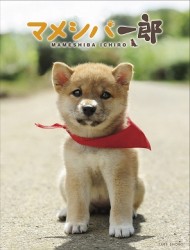 メイキング　オブ　マメシバ一郎
