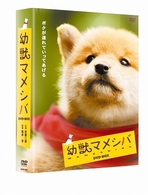 幼獣マメシバ　ＤＶＤ－ＢＯＸ