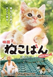 連続テレビドラマ　ねこばん　ＤＶＤ－ＢＯＸ
