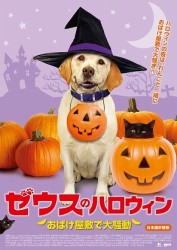 ゼウスのハロウィン　おばけ屋敷で大騒動