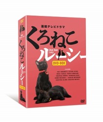連続テレビドラマ　くろねこルーシー　ＤＶＤ－ＢＯＸ