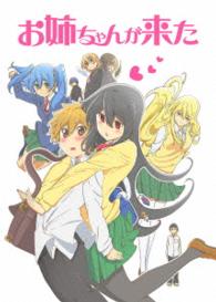 お姉ちゃんが来た Ｂｌｕ－ｒａｙ　Ｄｉｓｃ