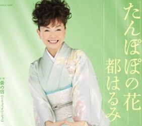 都はるみ／たんぽぽの花