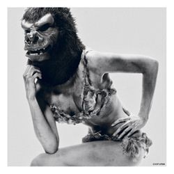 ＴＨＥ　ＣＯＬＬＥＣＴＯＲＳ／９９匹目のサル【通常盤】