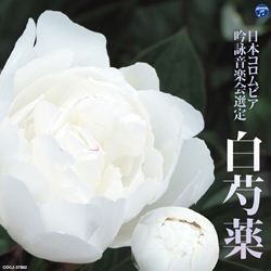 吉永典子／平成二十五年度（第四十九回）日本コロムビア全国吟詠コンクール課題吟　白芍薬