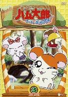 とっとこハム太郎＜第４シリーズ＞　とっとこハム太郎　はむはむぱらだいちゅ！（３）