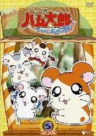とっとこハム太郎＜第４シリーズ＞　とっとこハム太郎　はむはむぱらだいちゅ！（５）