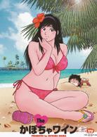 Ｔｈｅ　かぼちゃワイン　ＤＶＤ－ＢＯＸ　１