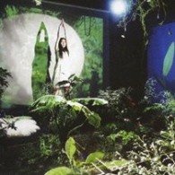 ＵＡ／黄金の緑／Ｌｏｖｅ　ｓｃｅｎｅ