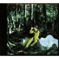 斉藤和義／Ｂｅｃａｕｓｅ【初回生産限定スペシャルプライス盤／ＳＨＭ－ＣＤ】