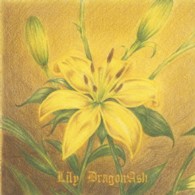 Ｄｒａｇｏｎ　Ａｓｈ／Ｌｉｌｙ（初回限定盤）