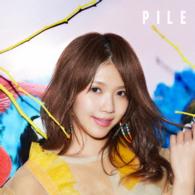 Ｐｉｌｅ／ＰＩＬＥ