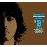 斉藤和義／Ｃｏｌｌｅｃｔｉｏｎ“Ｂ”１９９３～２００７