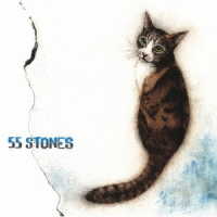 斉藤和義／５５　ＳＴＯＮＥＳ