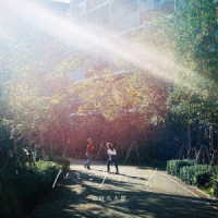 奇妙礼太郎／ハミングバード