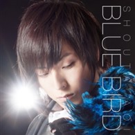 蒼井翔太／ブルーバード
