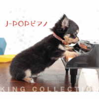 成田玲／Ｊ－ＰＯＰピアノ