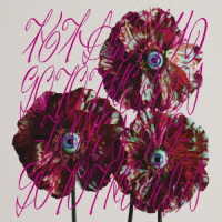 ＧＯ　ＴＯ　ＴＨＥ　ＢＥＤＳ／柏木由紀なりのＧＯ　ＴＯ　ＴＨＥ　ＢＥＤＳ　－ＴＲＵＥ　ＳＯＮＧ－