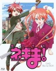 魔法先生ネギま！ＯＡＤ　Ｂｌｕ－ｒａｙ　ＢＯＸ【期間限定版】 Ｂｌｕ－ｒａｙ　Ｄｉｓｃ
