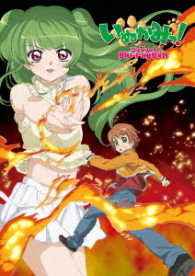 いぬかみっ！コンプリート　Ｂｌｕ－ｒａｙ　ＢＯＸ【初回限定版】 Ｂｌｕ－ｒａｙ　Ｄｉｓｃ