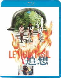 追想 Ｂｌｕ－ｒａｙ　Ｄｉｓｃ