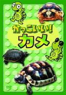 かっこいい！カメ