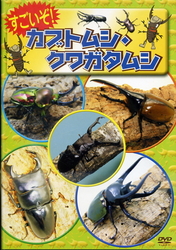 すごいぞ！　カブトムシ・クワガタムシ