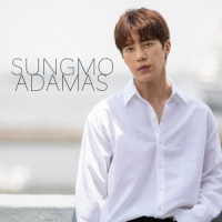 ソンモ／ＡＤＡＭＡＳ（ＴＹＰＥ－Ａ）