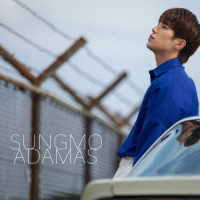ソンモ／ＡＤＡＭＡＳ（ＴＹＰＥ－Ｃ）