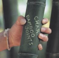 Ｃｈａｒ／ＢＡＭＢＯＯ　ＪＯＩＮＴＳ【ＣＤエキストラ付】